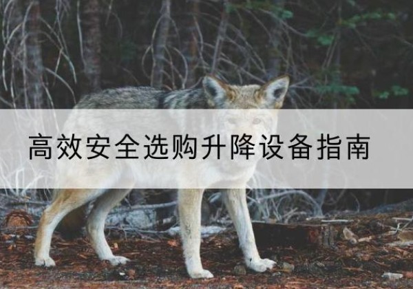 荔湾升降货梯厂家推荐-*安全选购升降设备指南