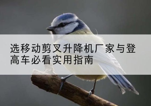 荔湾电动升降机厂家-选移动剪叉升降机厂家与登高车必看实用指南