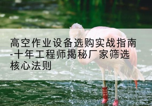荔湾剪叉式升降机厂家-高空作业设备选购实战指南-十年工程师揭秘厂家筛选核心法则