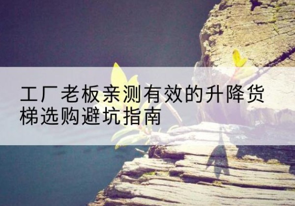 荔湾升降货梯怎么选-工厂老板亲测有效的升降货梯选购避坑指南